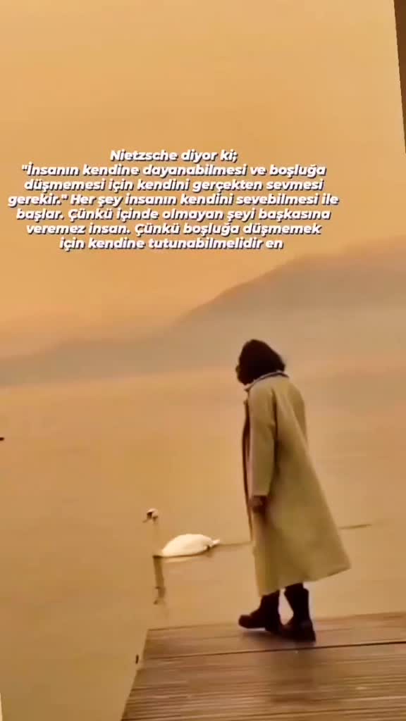 @turgutzeyrekk