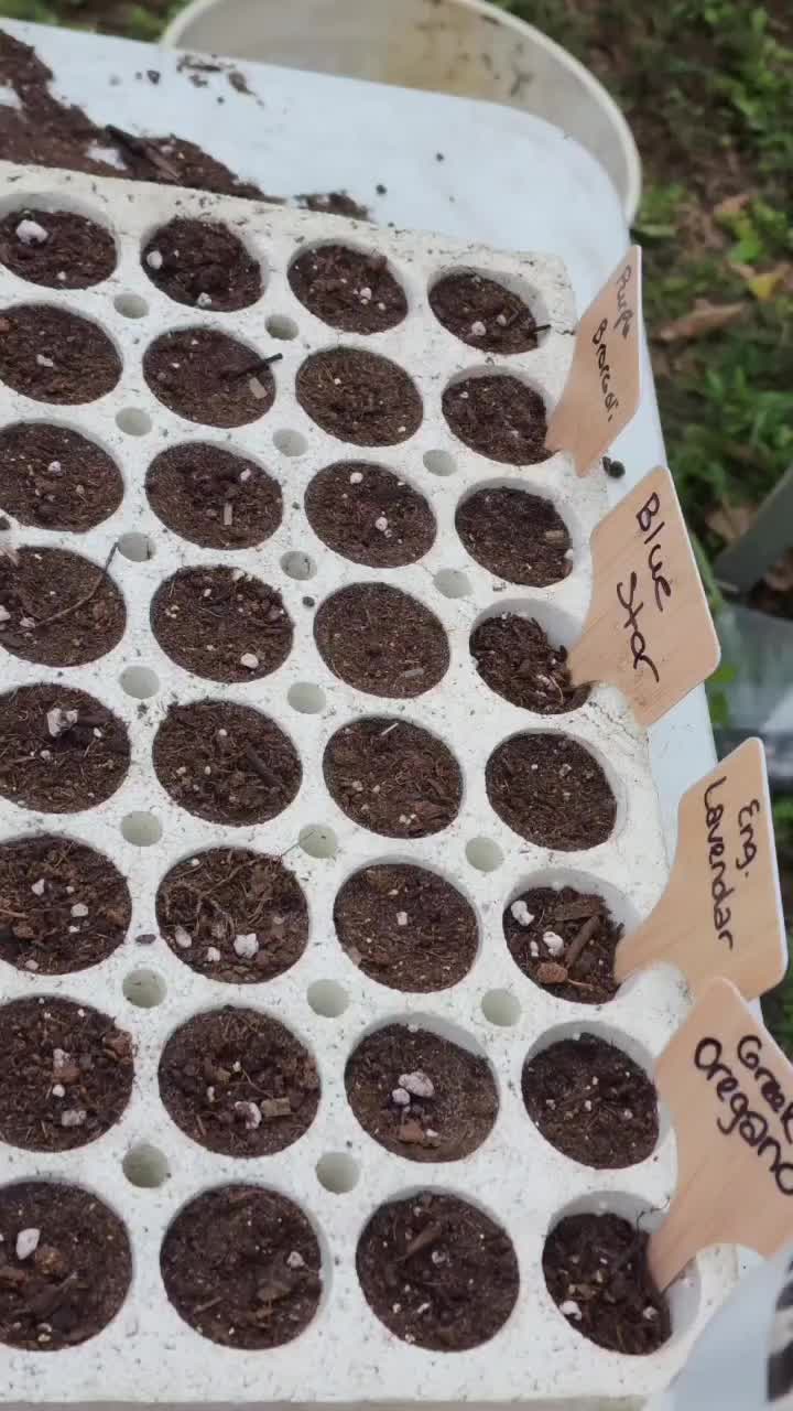 @GROWwithLOVE