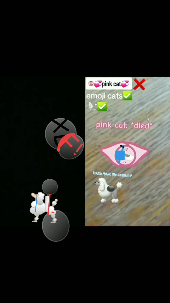 @inceiryz_hate_animals