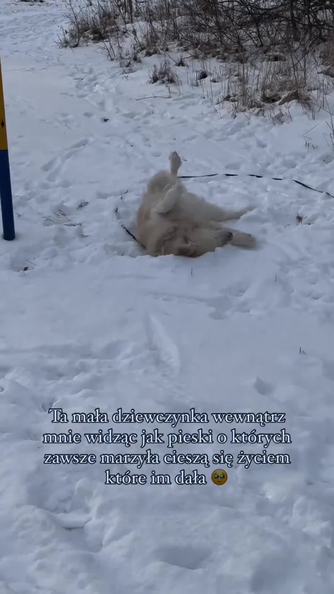@Martyś 🥳