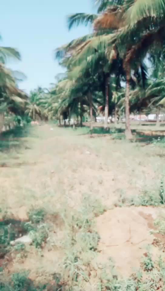@Thalapathysanjeev