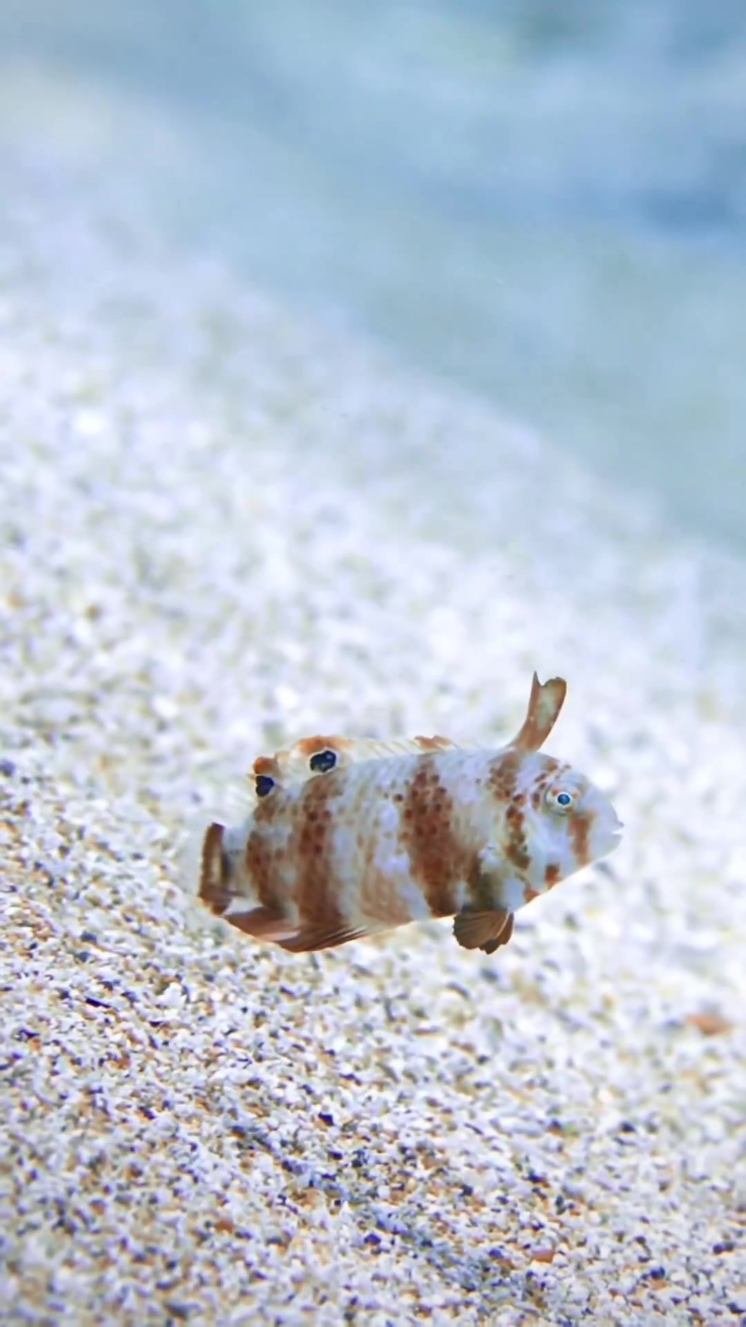 @Sky | Underwater Photographer