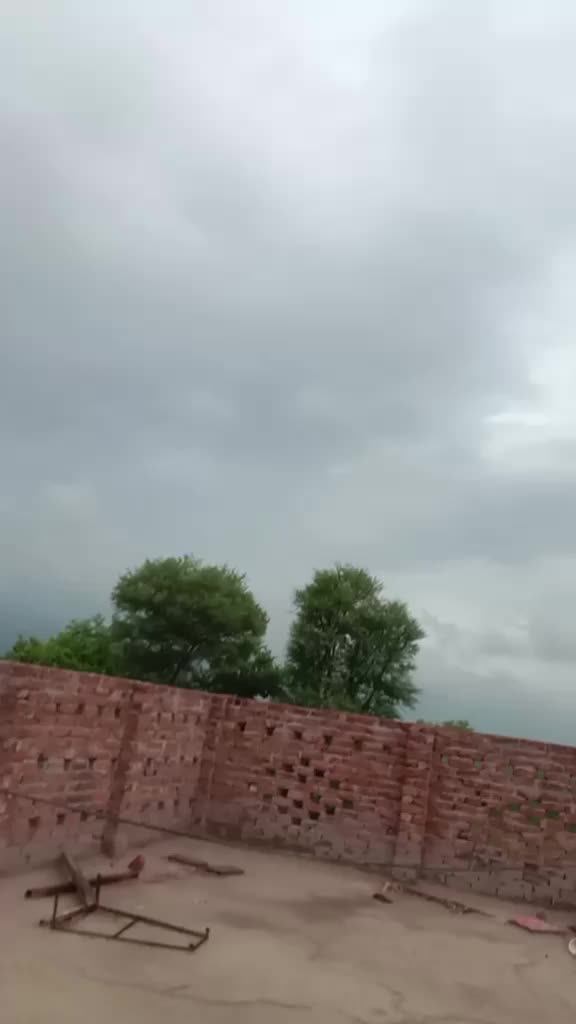 @user6667266379313