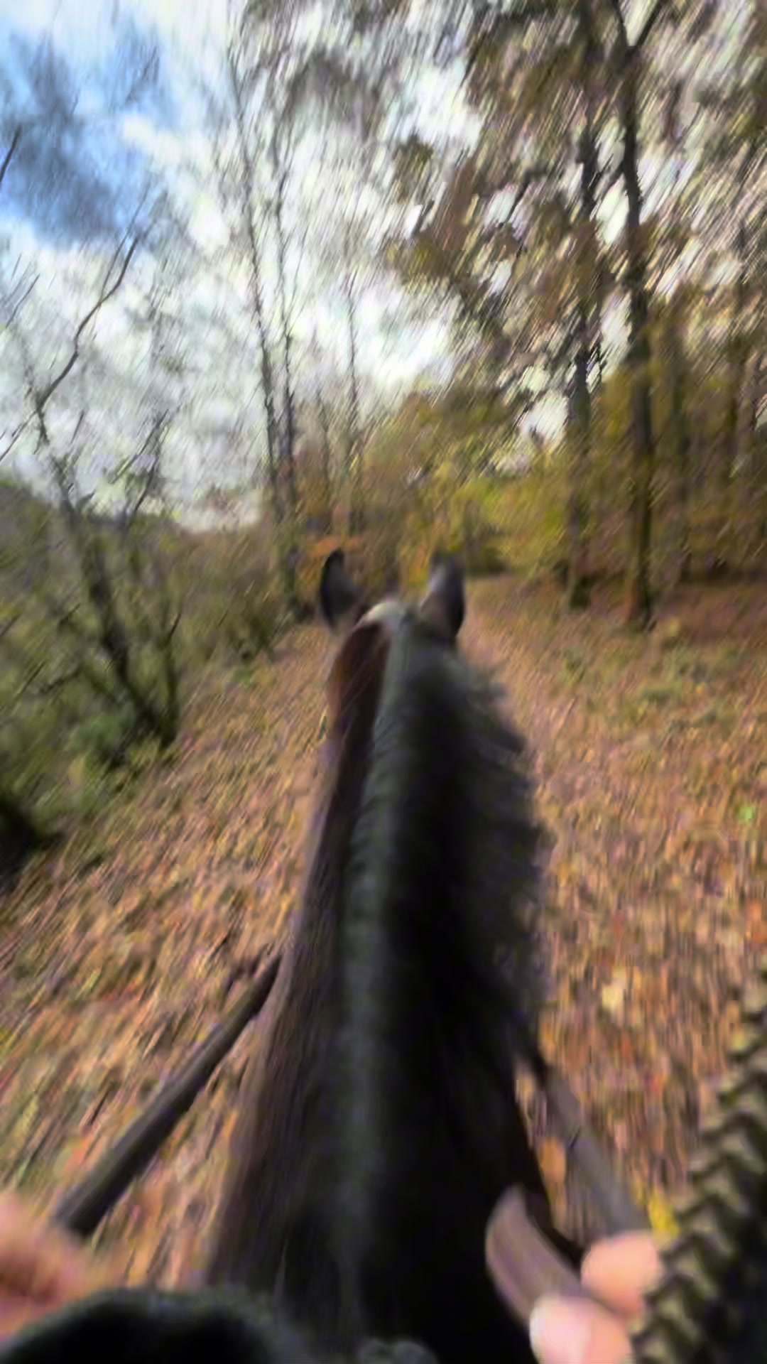 @reiten_ist_kunst