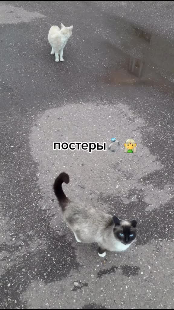 @Alina