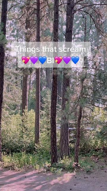@bisexual girl💗💜💙