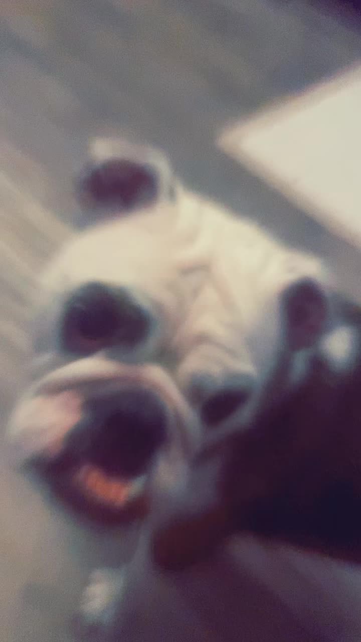 @nalathebulldog20