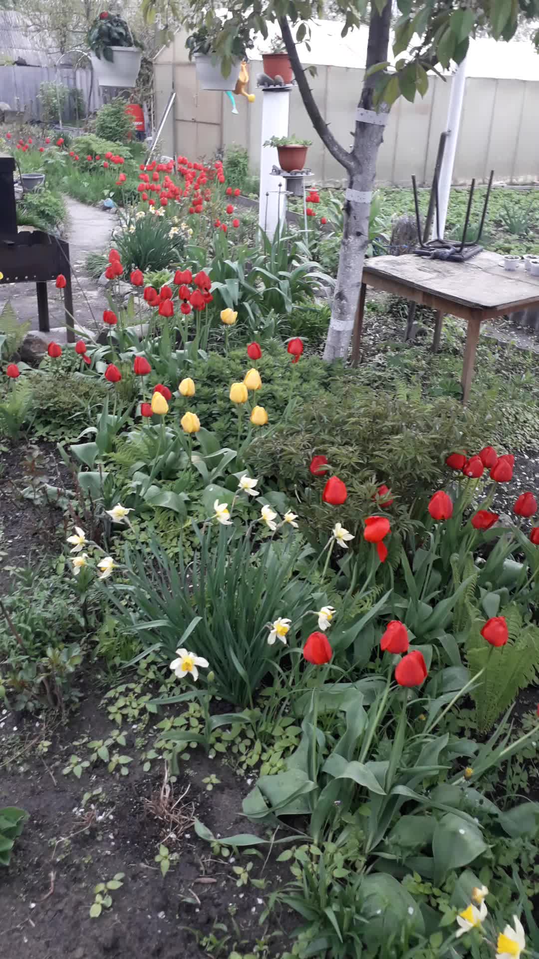 @Светлана Шахбалаева