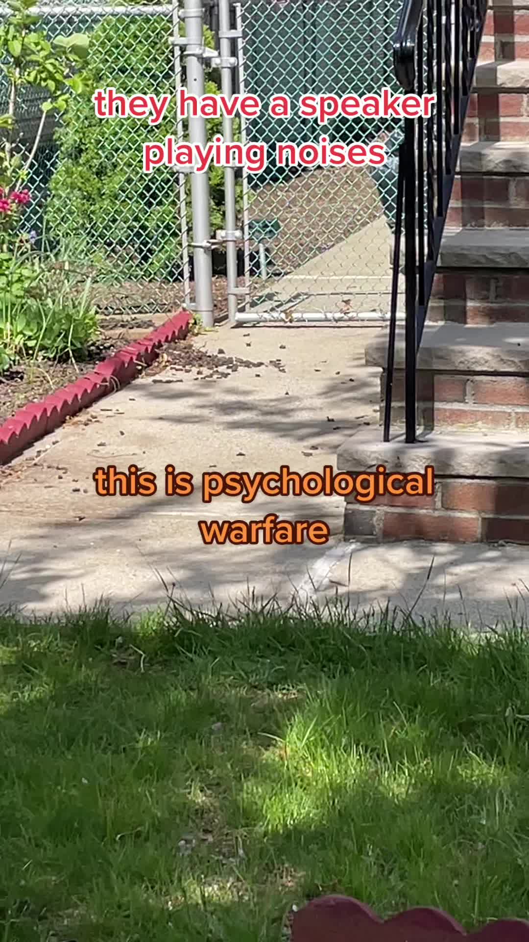@robin