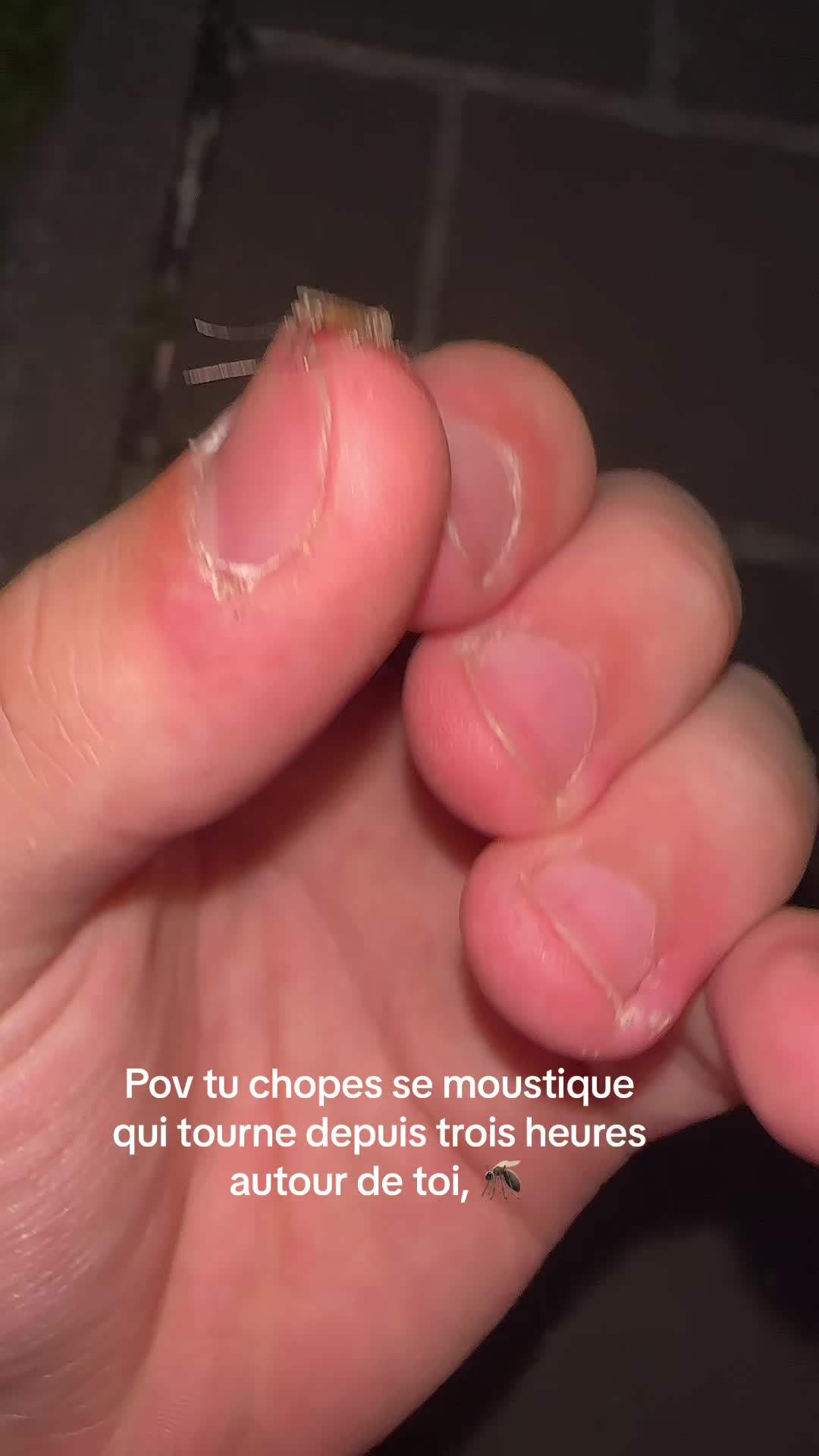 @nicolastav