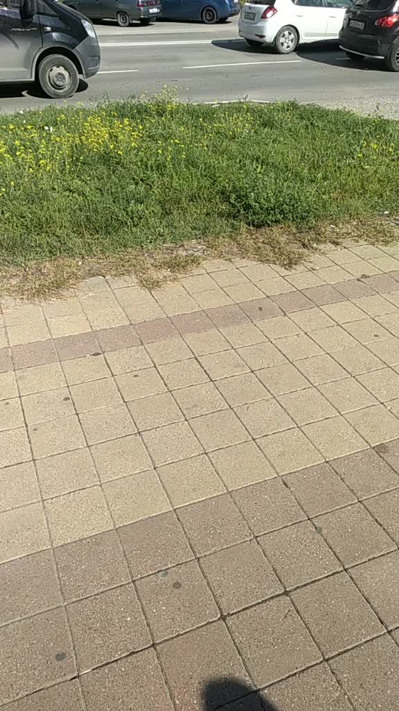 @xvolkodavx