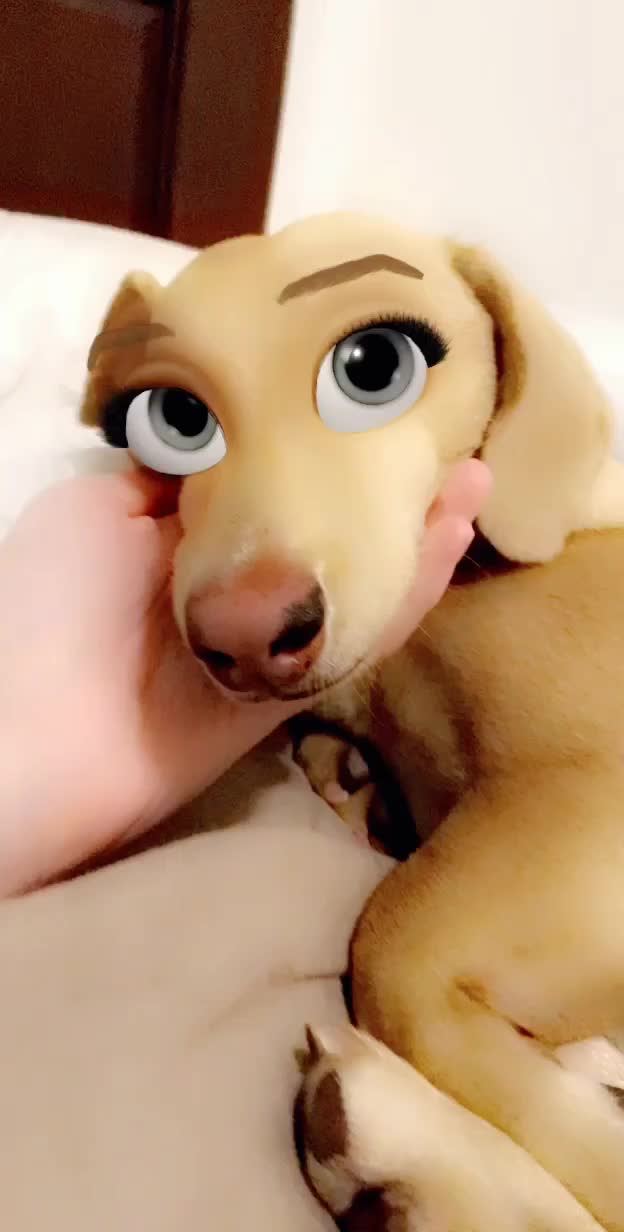 @Rileyoday