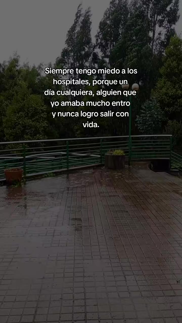 @˓ㅤℳ𝖔𝗇𝗂ㅤִㅤ𝄰 ˒ 🍀 :