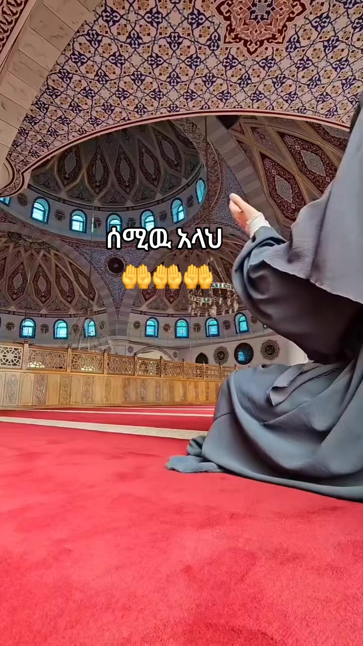 @zehara 🦋🦋🦋🦋
