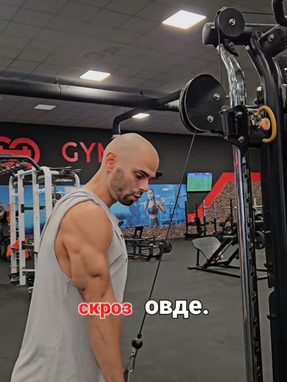 @lazar