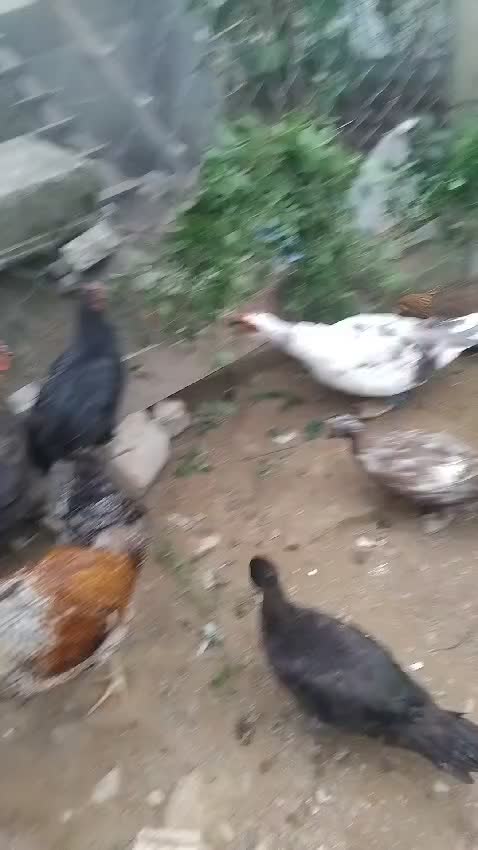 @marcemartinramos