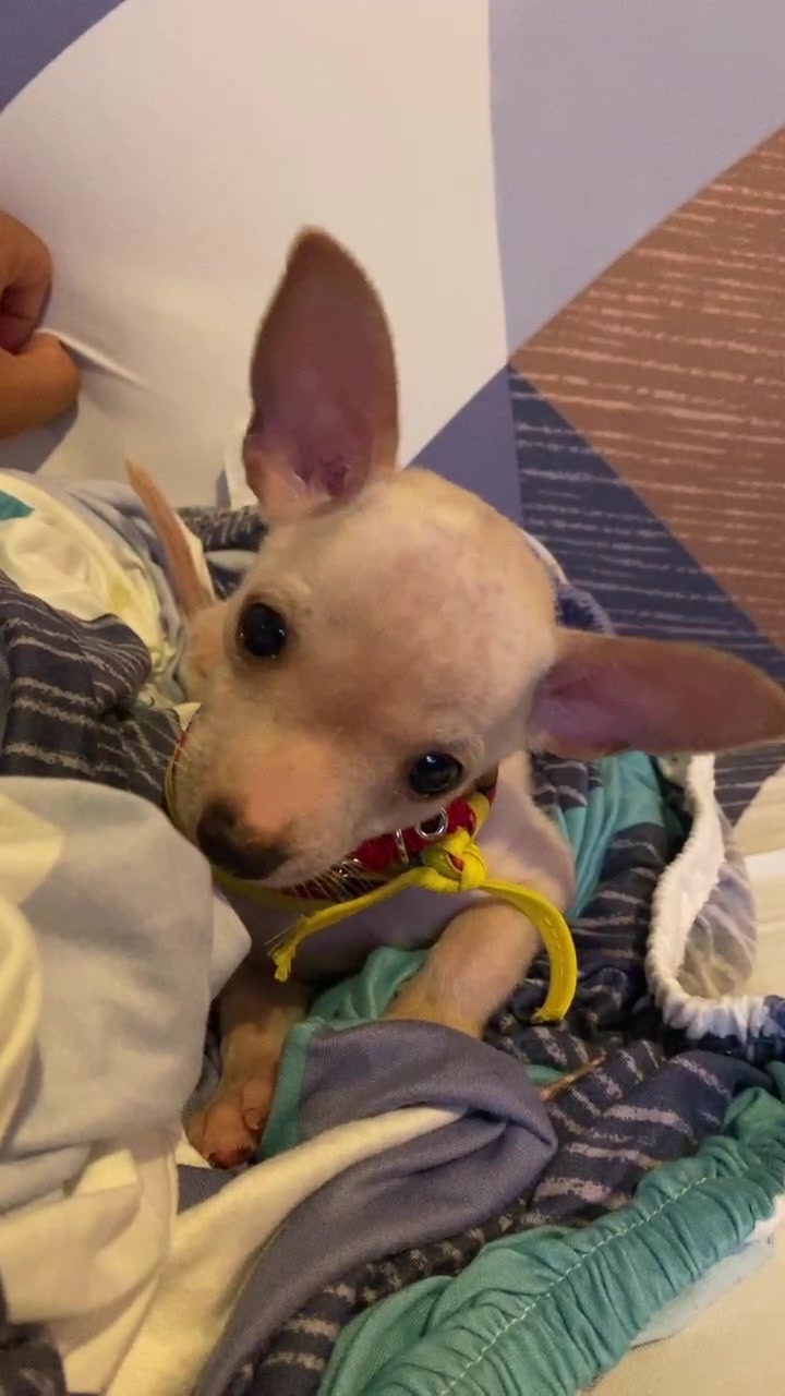 @Kay M. Ro