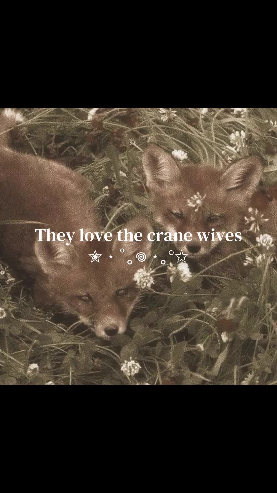 @⋆˚꩜。༺𓋼𓍊𝐹𝒶𝑒𝒯𝓇𝒶𝓅𓍊𓋼༻☆