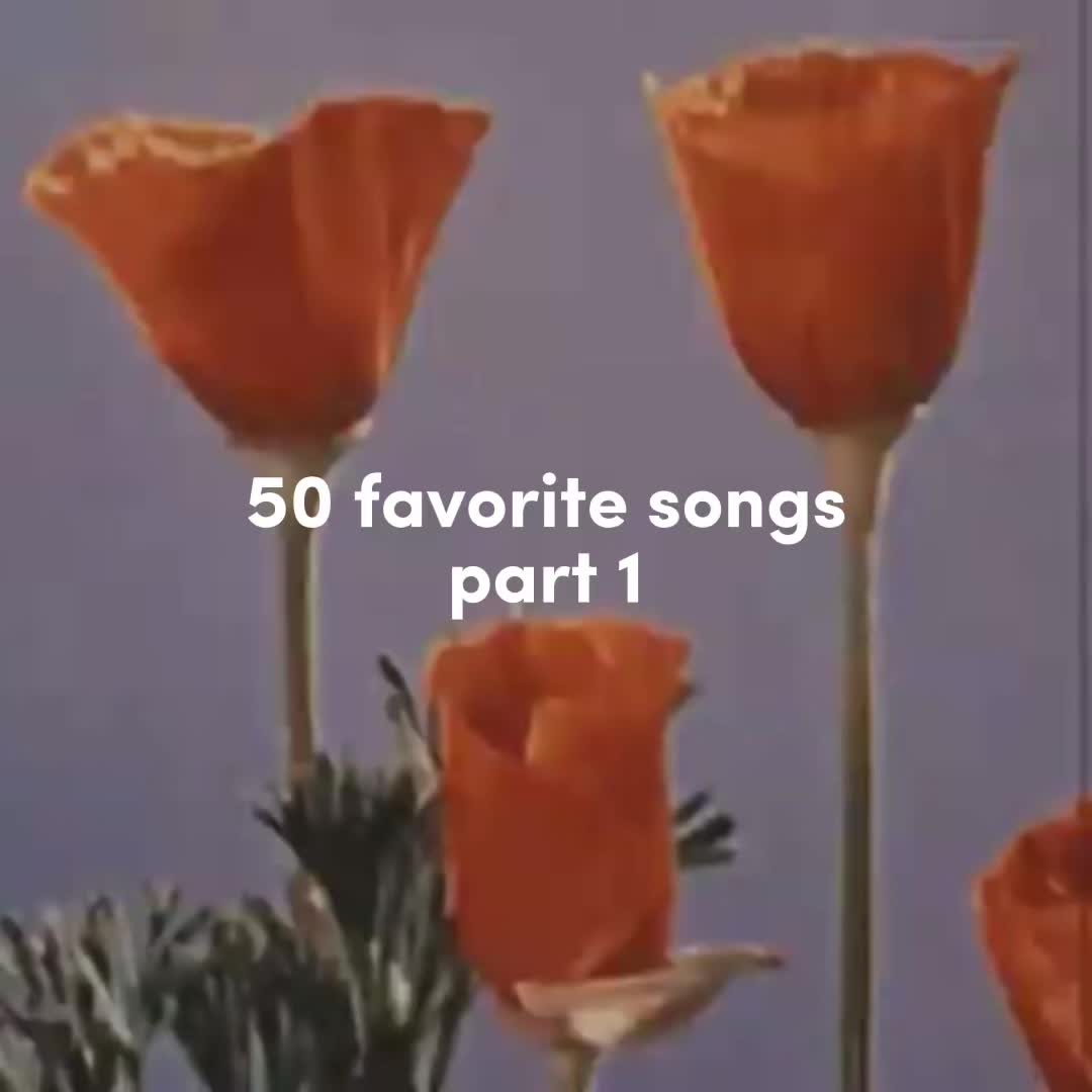@lauren