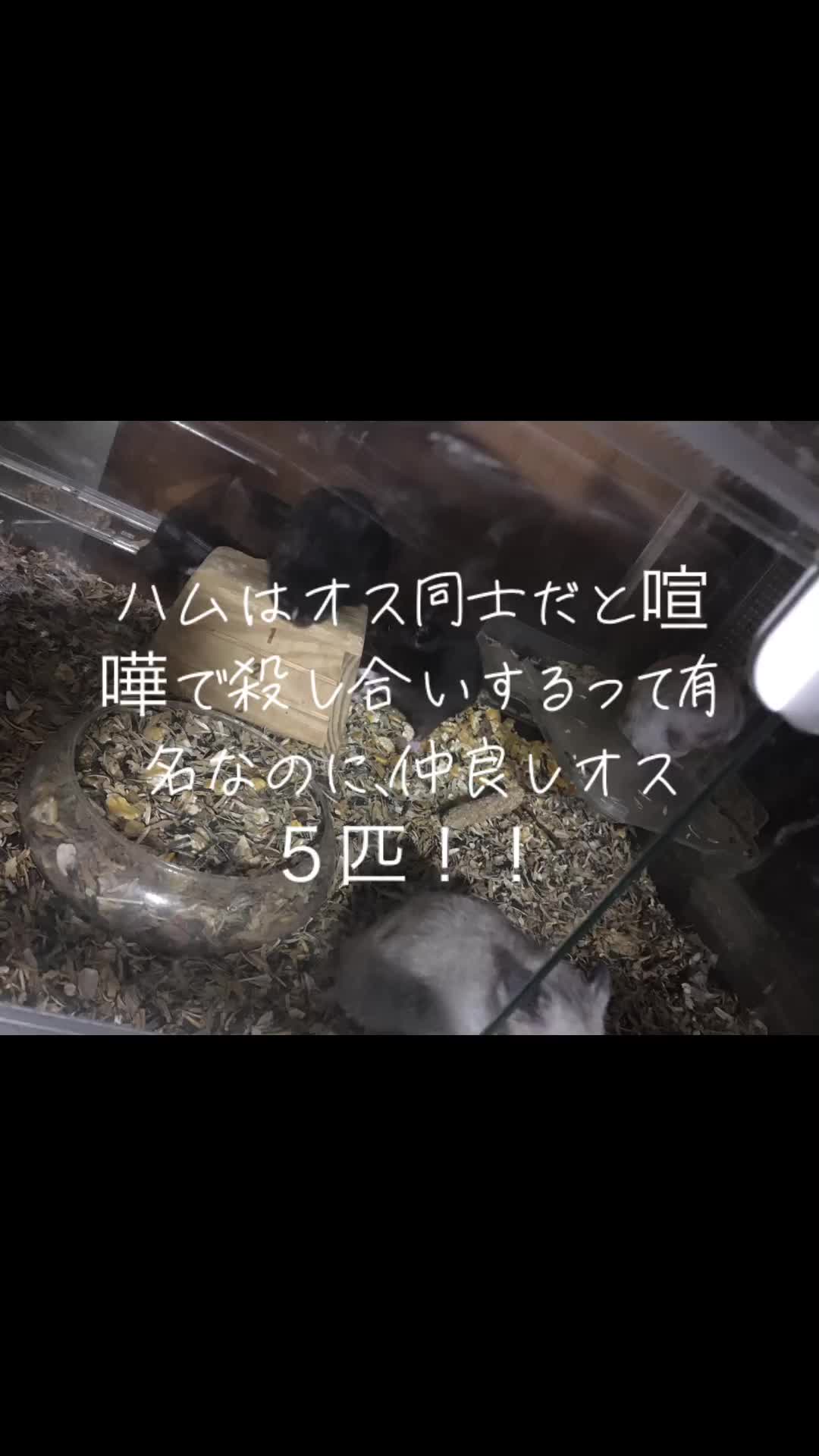 @キャサ子