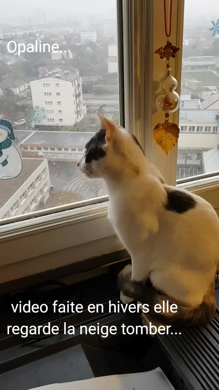 @flopou94