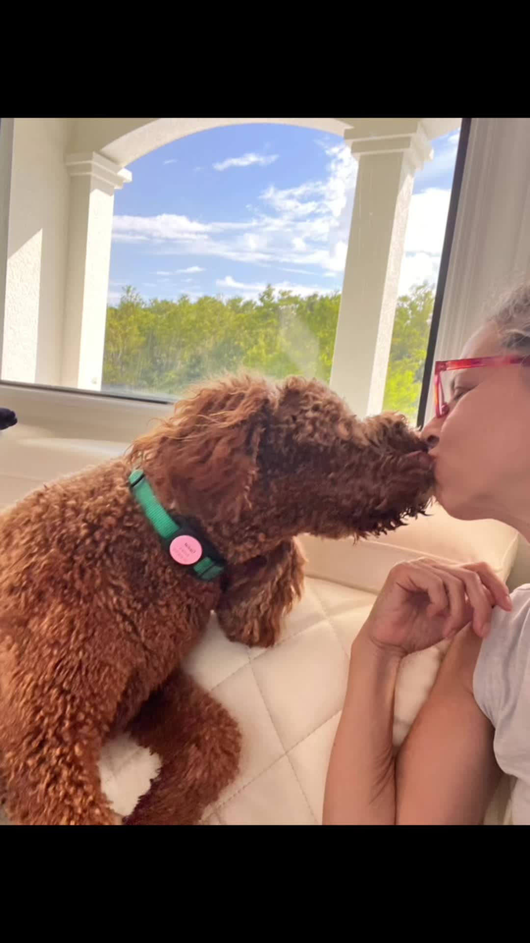@Pawsitive Coaching with Amy