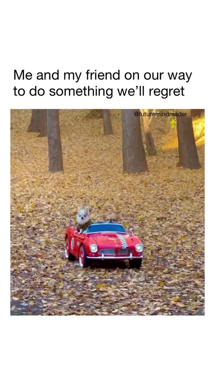 @memestok