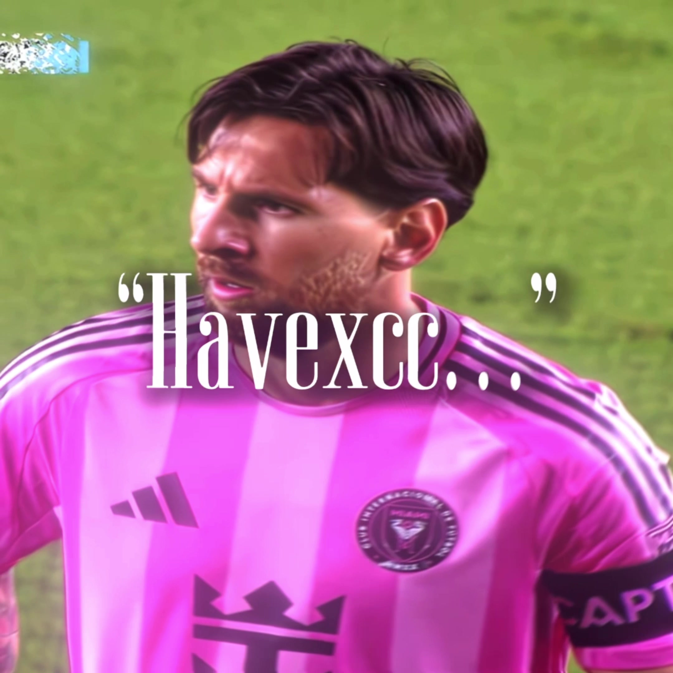 @Havexcc