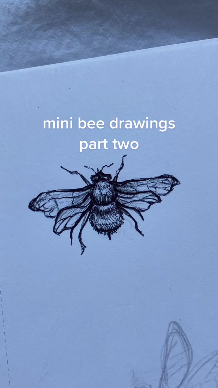 @mira