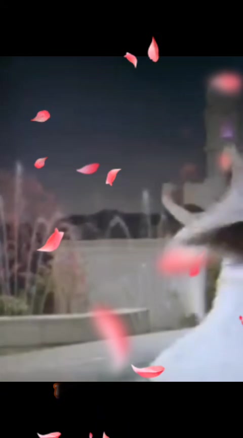@n.m