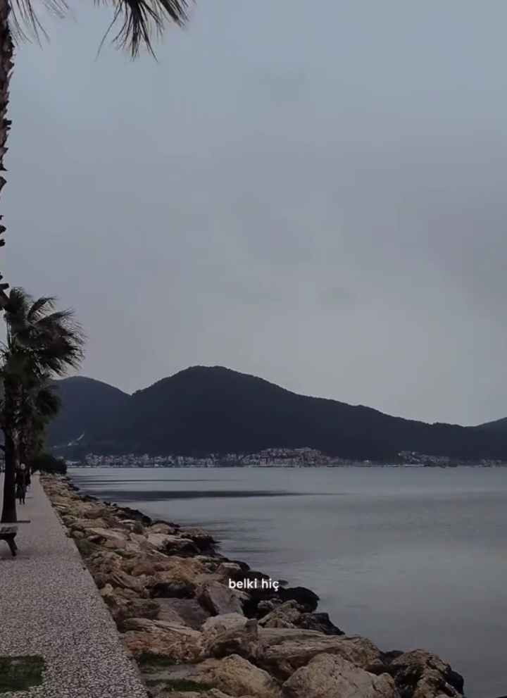 @İ𝐫𝐤𝐚🦁