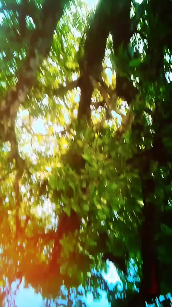 @प्रबिन गुरुङ 101