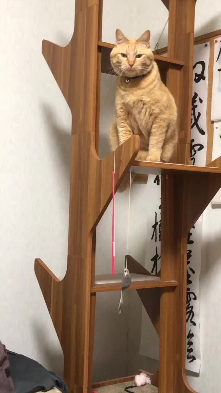 @さだこ