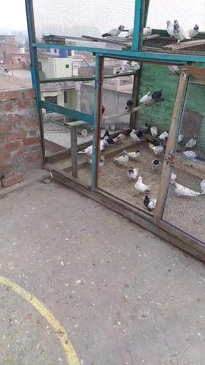 @user2232287689052
