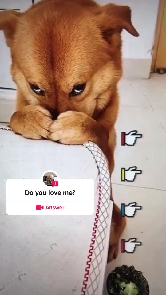 @xixite