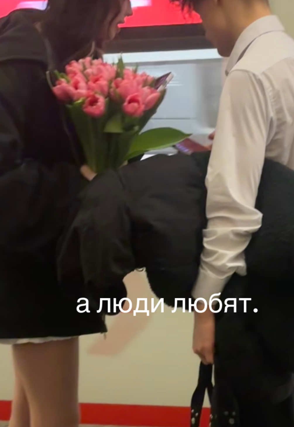 @shorodda