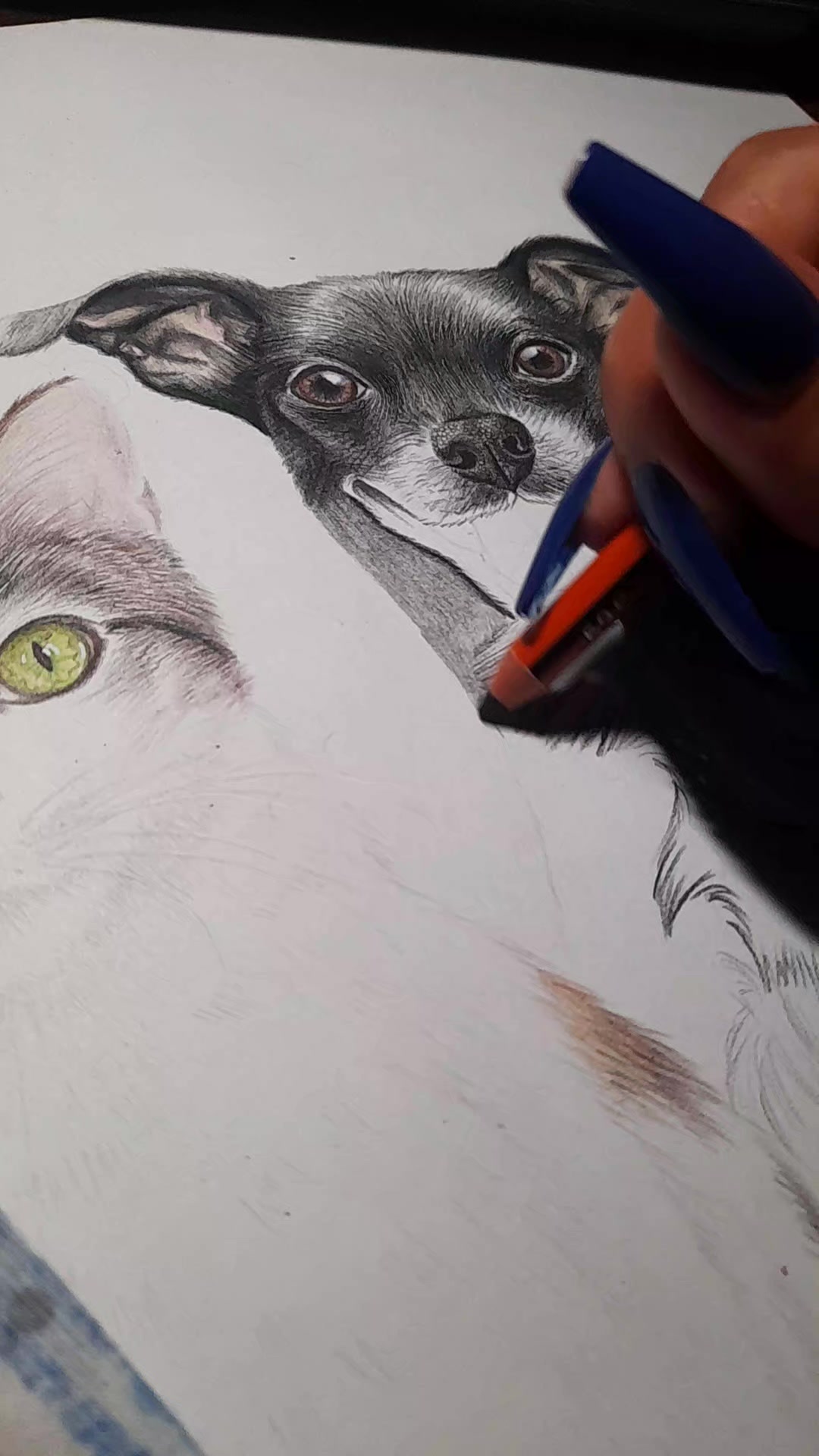 @selena kuriious👩&zwj;🎨