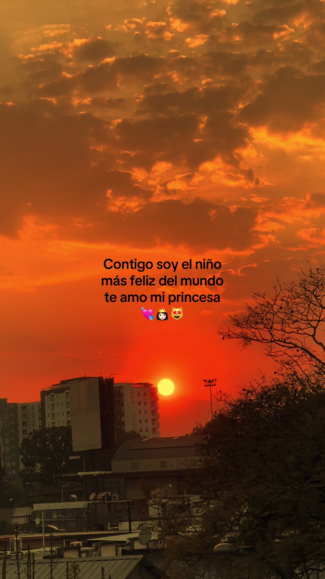 @🧃🪐 viviano Gomez 🧃☘️