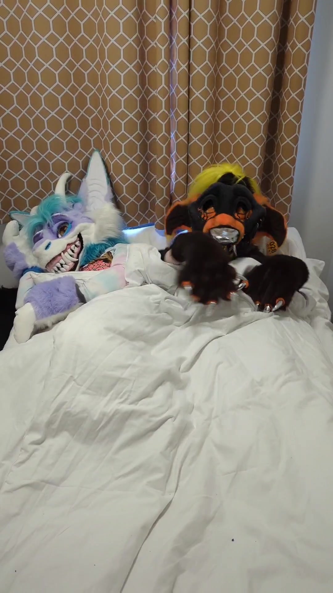 @Kittypantherlion100