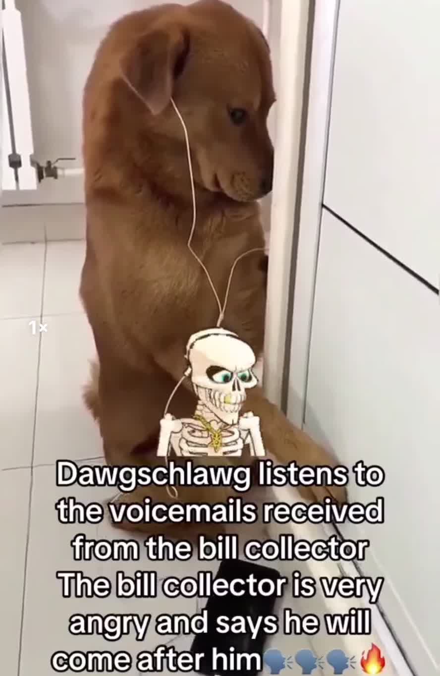 @Dj
