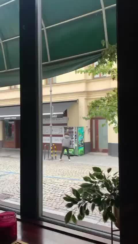 @DomSalamander