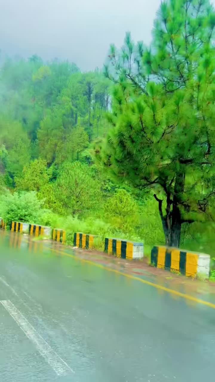 @ibad556
