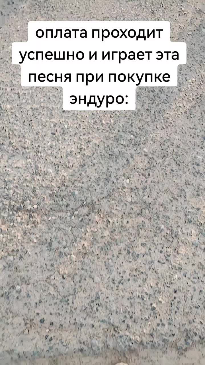 @egor_solo