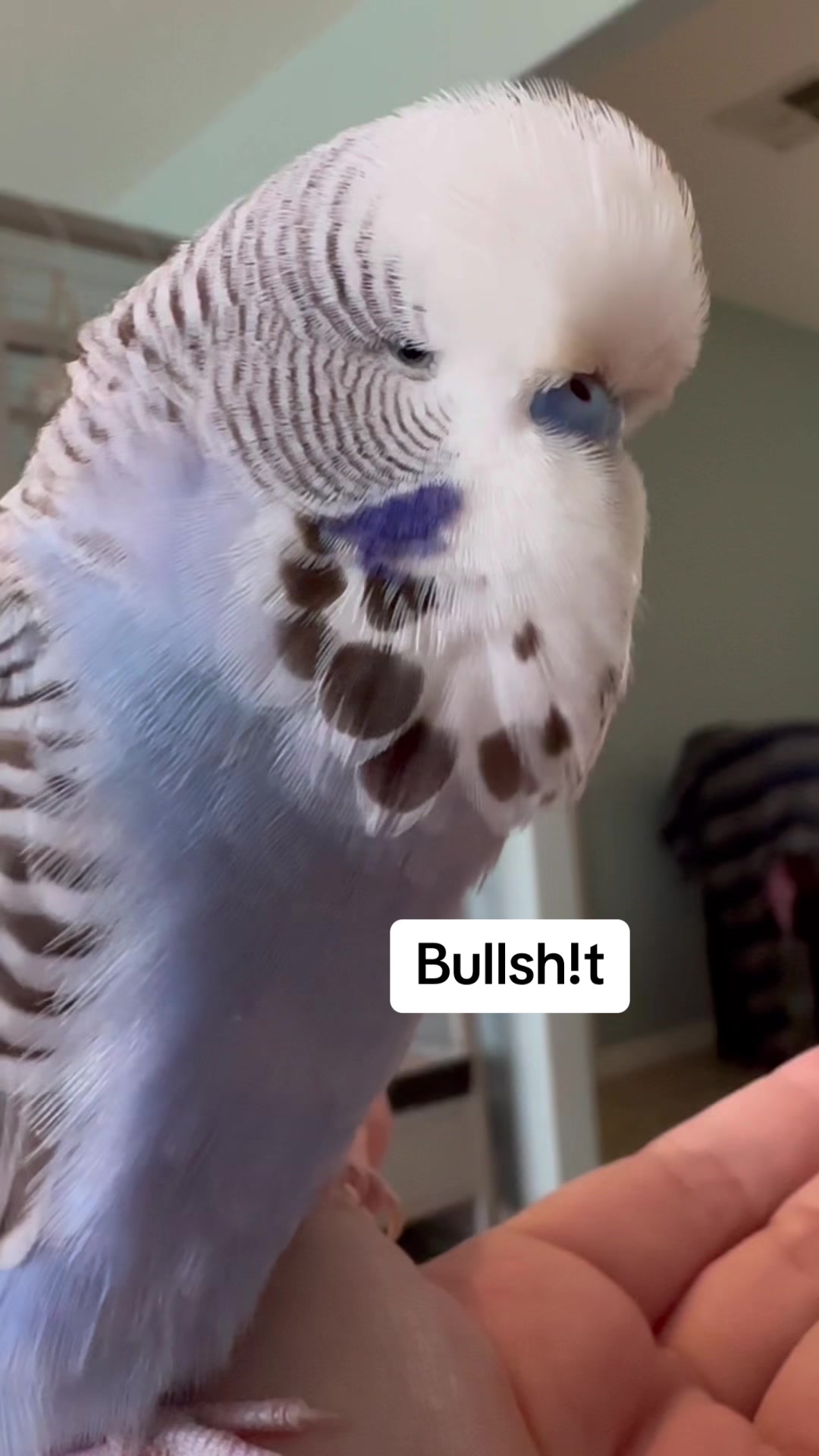 @Rupeedoo