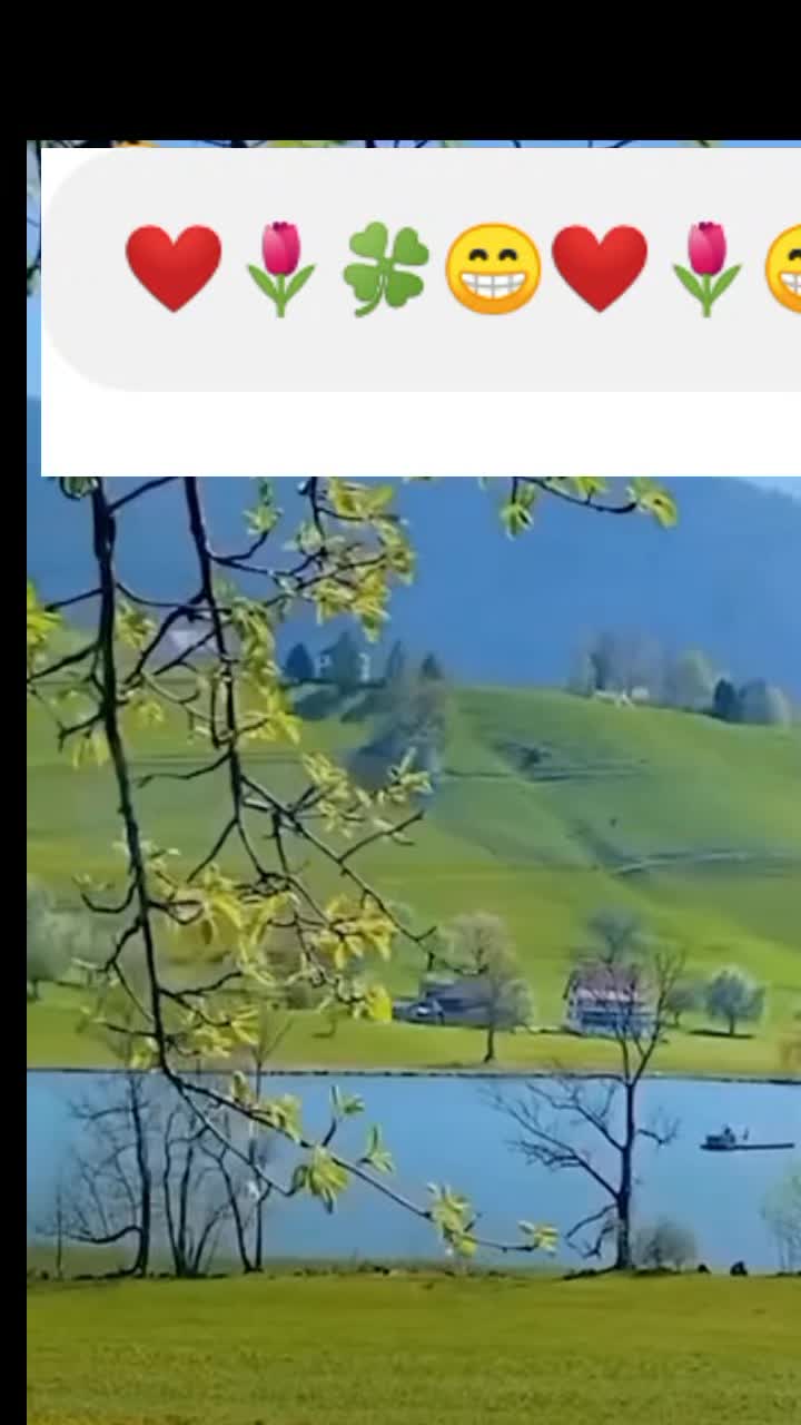 @zulfiqar Ali