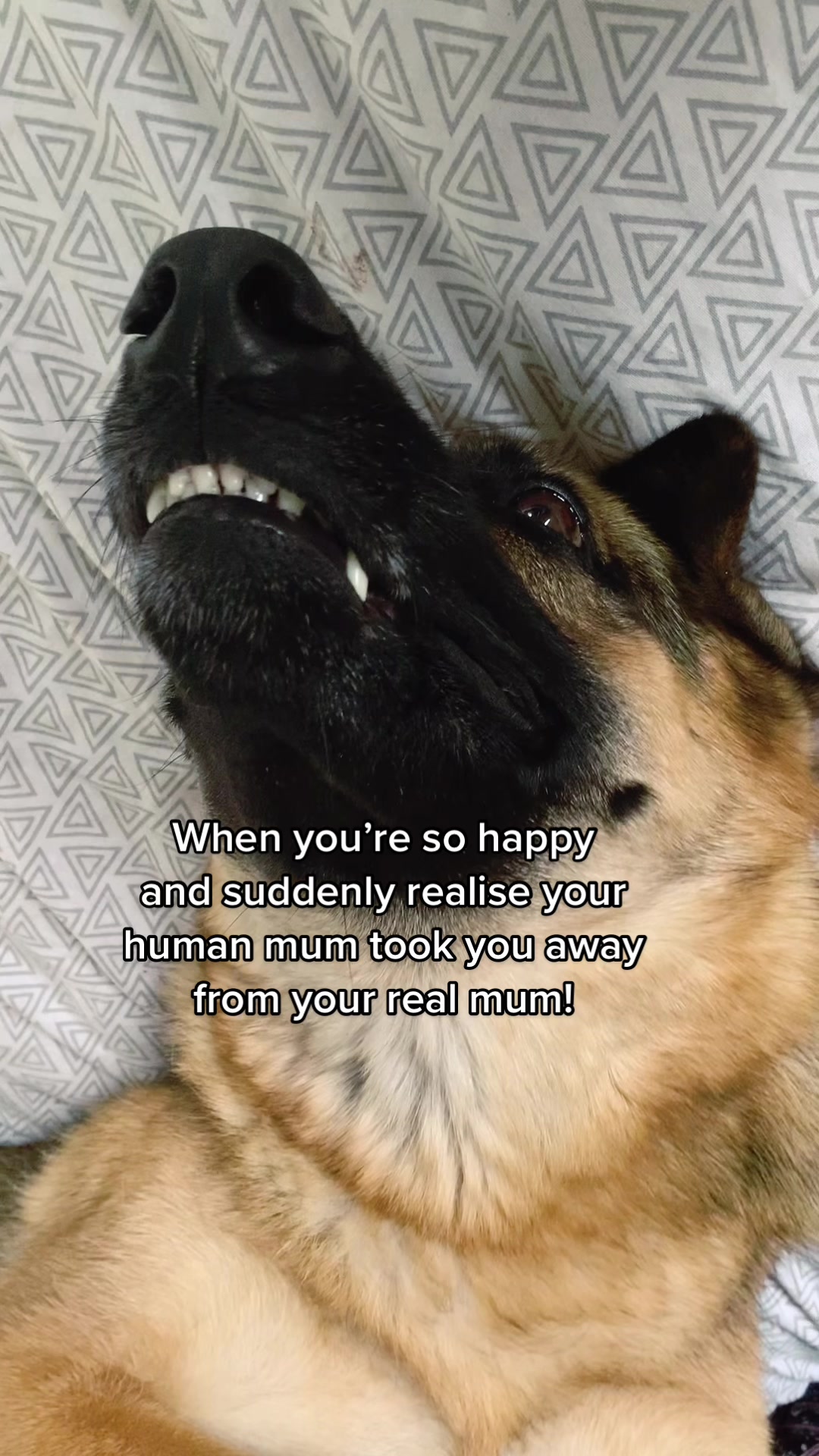 @XENA