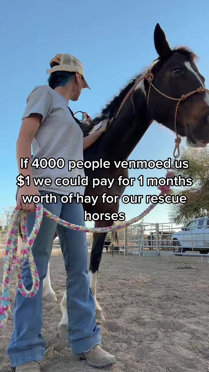 @Hooves &lsquo;n Hearts Equine Rescue