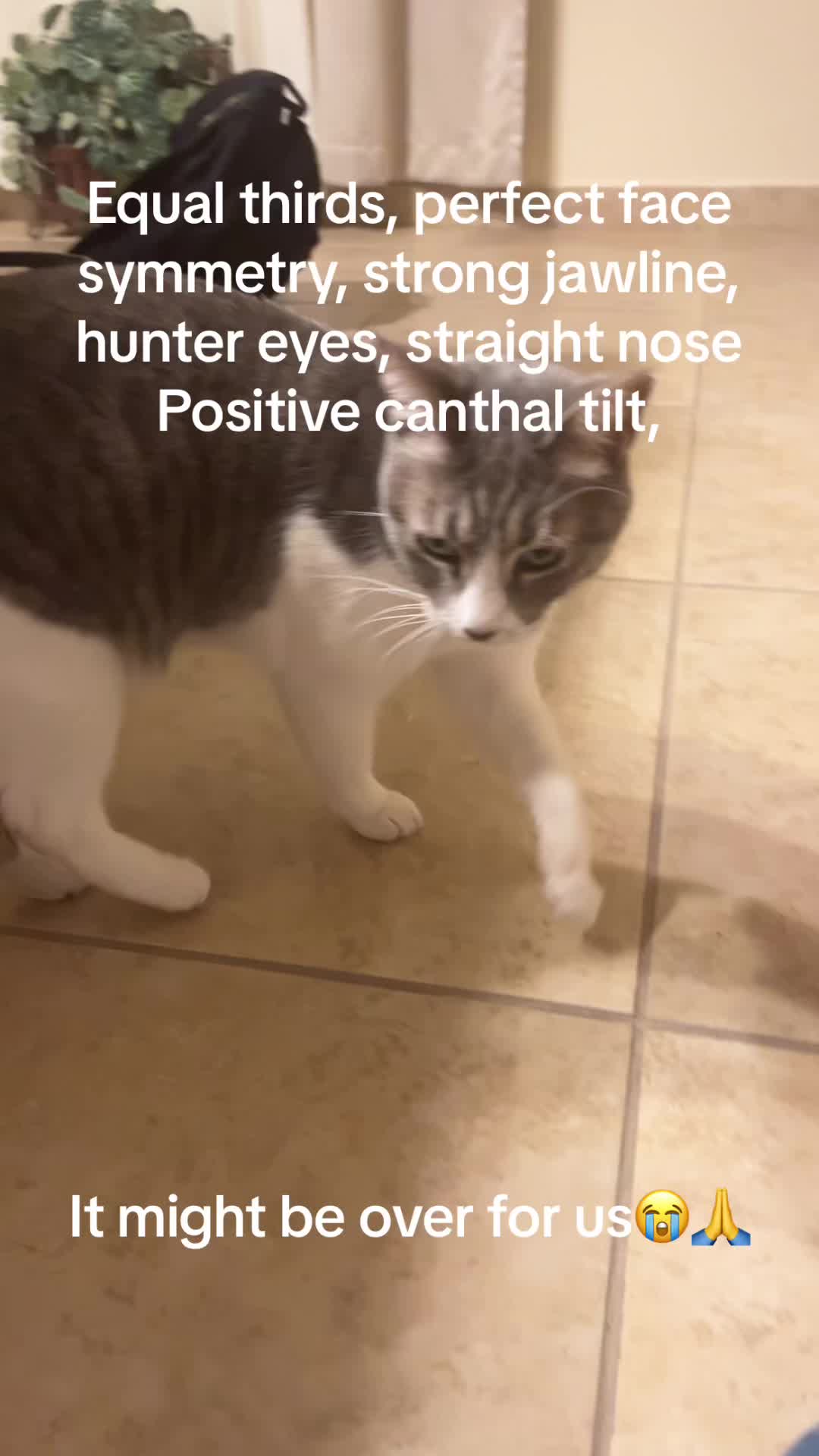 @lethal