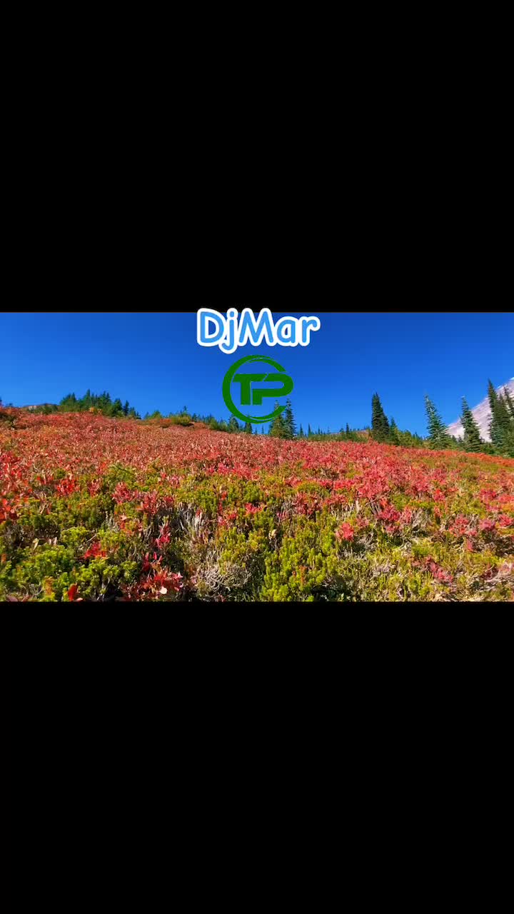 @DjMar