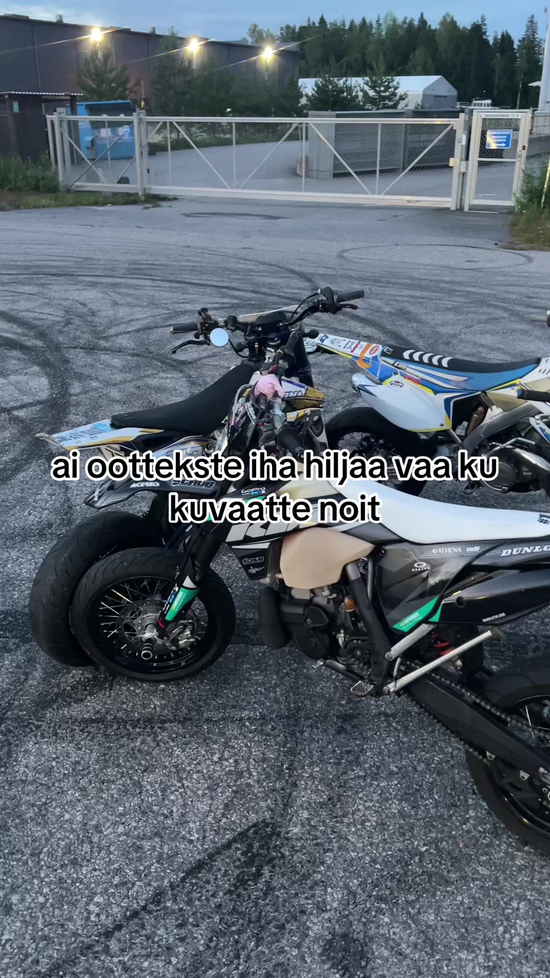 @luca🪼